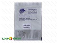 Плесень для сыров (Penicillium Candidum) на 50 литров (Tecnolatte)