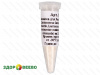 Закваска для сыра Российский, мезофильная, флакон на 10 литров молока (Здоровеево) фото Закваска для сыра Российский, мезофильная, флакон на 10 литров молока (Здоровеево)