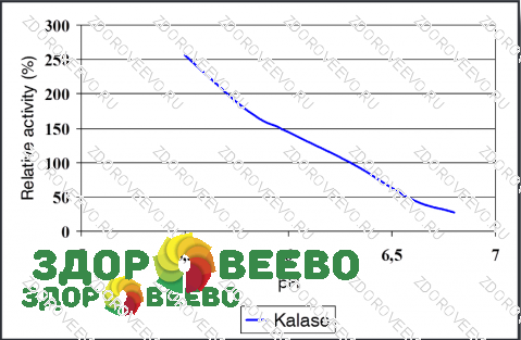 Магазин Здоровеево Ру