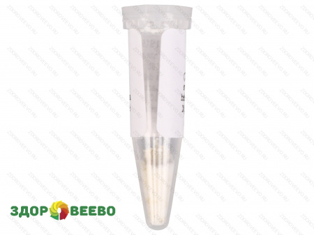 фото Закваска для сыра LH 100, термофильная, ароматообразующая, флакон на 100 литров молока (Здоровеево)