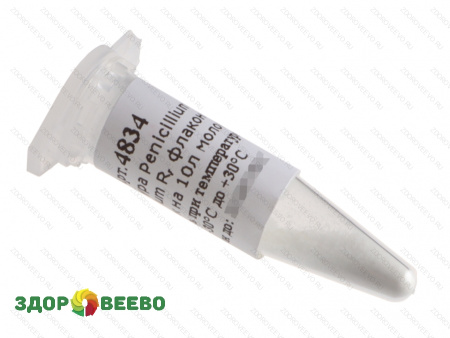 фото Культура белой плесени для сыра Penicillium Candidum R, флакон на 10 литров молока (Здоровеево)