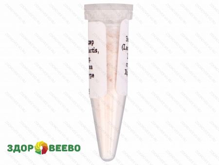 фото Закваска для сыра Чеддер, мезофильная, флакон на 10 литров молока (Здоровеево)