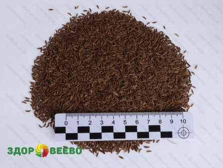фото Тмин, пакет 100 г