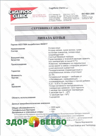 липаза что это такое для сыра. Смотреть фото липаза что это такое для сыра. Смотреть картинку липаза что это такое для сыра. Картинка про липаза что это такое для сыра. Фото липаза что это такое для сыра
