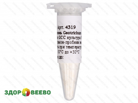Культура плесени для сыра Geotrichum Candidum GCC, флакон на 60 литров молока (Здоровеево)