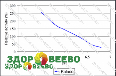 фото Жидкий сычужный фермент Ceska-Lase (Kalase) - натуральный телячий пепсин (реннет). Флакон - капельница 20 гр (Здоровеево)