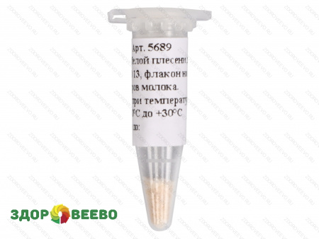 фото Культура белой плесени для сыра GEO 13, флакон на 50 литров молока (Здоровеево)