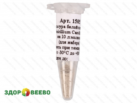 фото Культура белой плесени для сыра Penicillium Candidum, флакон на 10 литров молока (Здоровеево)