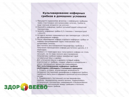 фото Тибетский молочный гриб - кефирный грибок