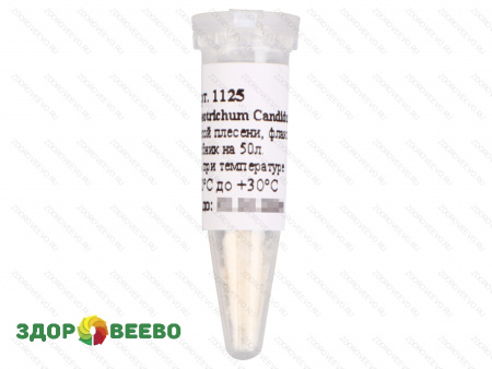 фото Культура белой плесени для сыра Geotrichum Candidum, флакон на 50 литров молока (Здоровеево)