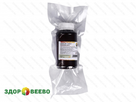 фото Чайный гриб - комбуча (в живом виде)