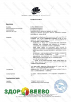 фото Плесень для сыров Brevi bacterium linens на 50 литров (Tecnolatte)