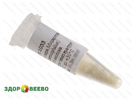 Закваска для сыра Моцарелла, термофильная, флакон на 15 литров молока, 3 шт. (Здоровеево) фото Закваска для сыра Моцарелла, термофильная, флакон на 15 литров молока, 3 шт. (Здоровеево)