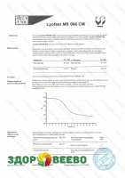 фото Закваска для сыра Lyofast MS 066 CM 10UC (на 500-2000л, Sacco)