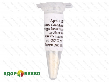 Культура белой плесени для сыра Geotrichum Candidum, флакон на 50 литров молока (Здоровеево)