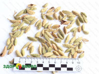 фото Кардамон целый сушеный, пакет 25 г