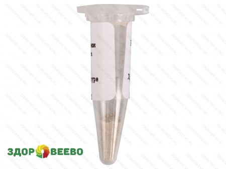 фото Культура белой плесени для сыра Penicillium Candidum, флакон на 10 литров молока (Здоровеево)