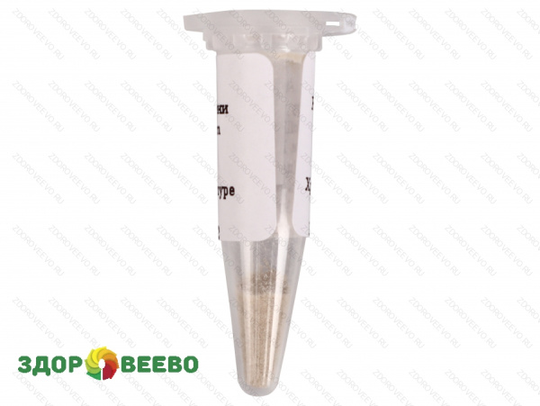 фото Культура белой плесени для сыра Penicillium Candidum, флакон на 10 литров молока (Здоровеево)