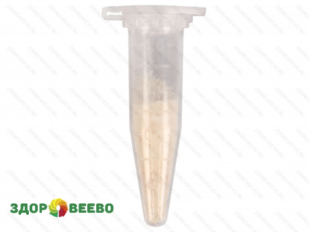 фото Закваска для сыра ALP LYO, мезо-термофильная, пакет 10 DCU на 100 литров молока (Здоровеево)