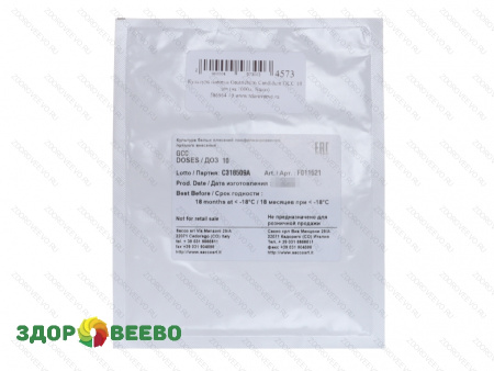 фото Культура плесени Geotrichum Candidum GCC 10 доз (на 1000л, Sacco)