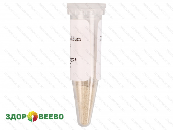 фото Культура белой плесени для сыра Penicillium Candidum, флакон на 40 литров молока (Здоровеево)