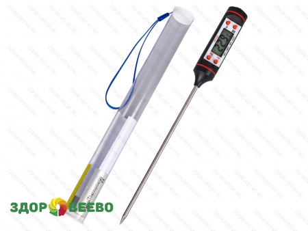 фото Электронный термометр TP101 черный