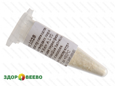 фото Закваска для сыра Helv A LYO, ароматообразующая, термофильная, флакон на 15 литров молока (Здоровеево)