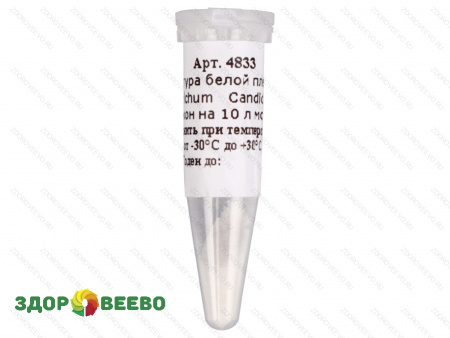 фото Культура белой плесени для сыра Geotrichum Candidum C, флакон на 10 литров молока (Здоровеево)