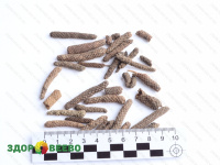 фото Перец Пиппали (Piper longum, длинный перец), пакет 20 г