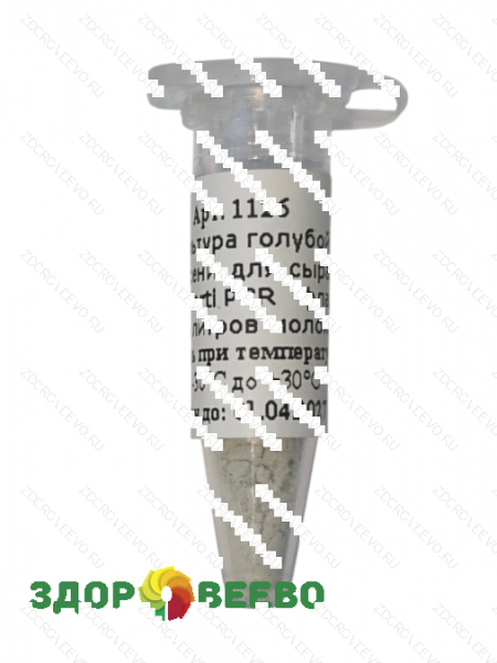 фото Культура голубой плесени для сыра P.roqueforti PCR флакон на 10 литров молока (Здоровеево)